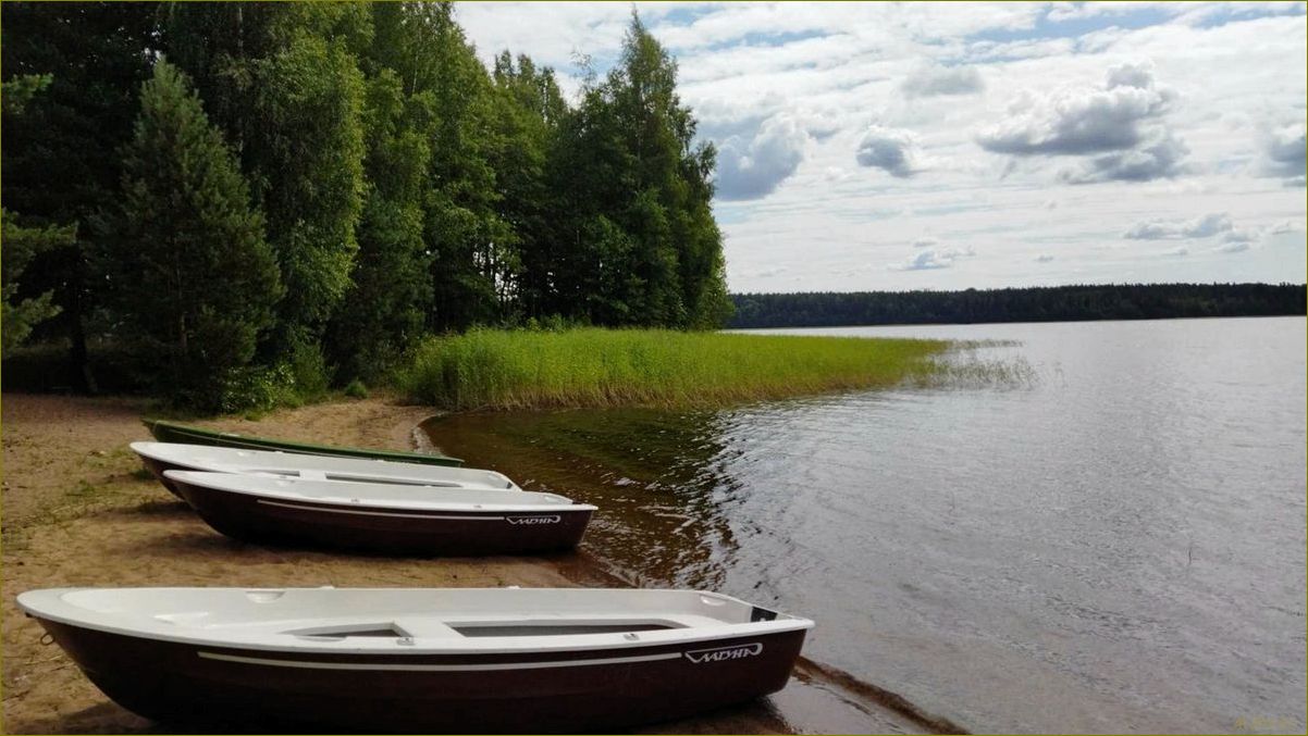 Райский уголок отдыха в Ленинградской области — Озеро Копанское — идеальное место для релакса и зарядки энергией