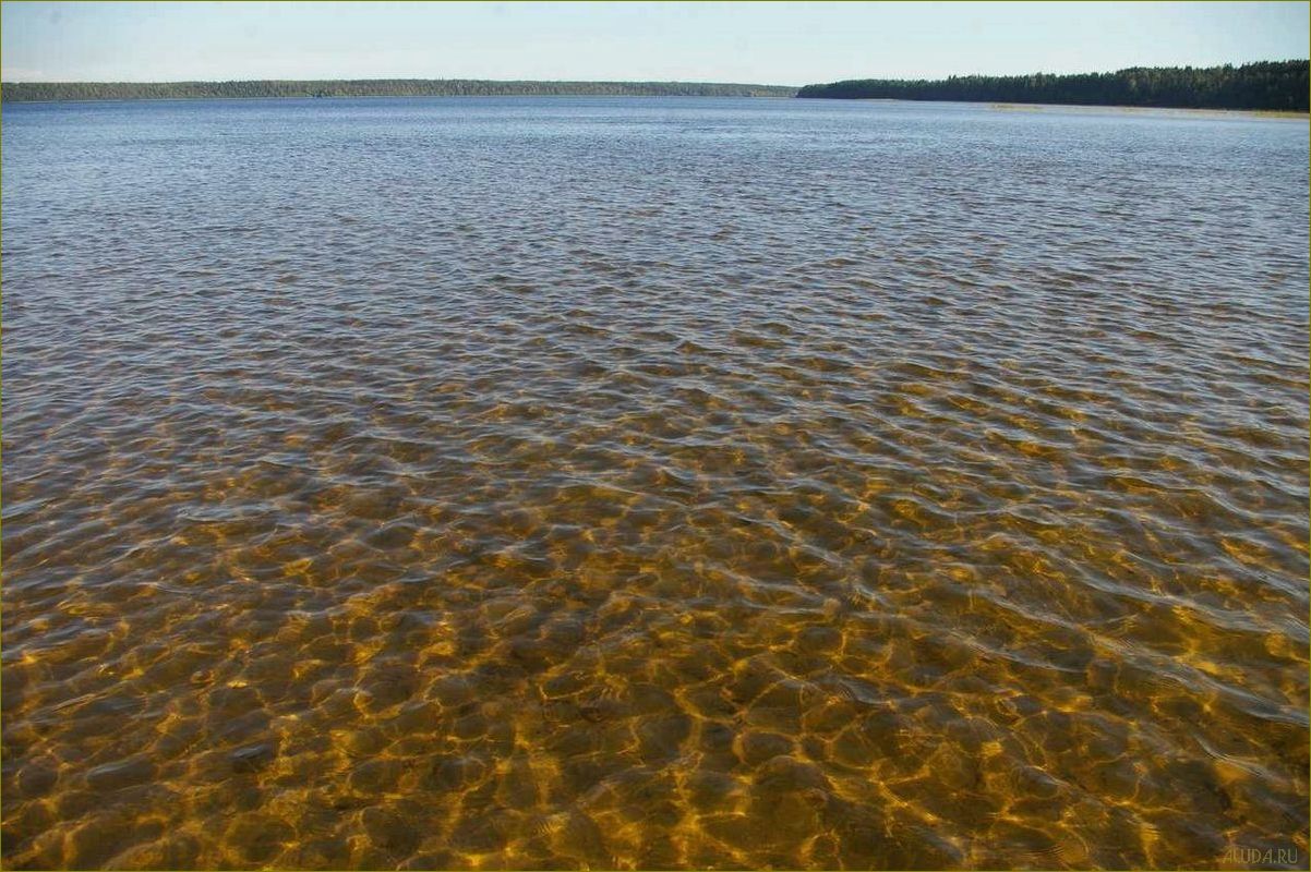 Райский уголок отдыха в Ленинградской области — Озеро Копанское — идеальное место для релакса и зарядки энергией