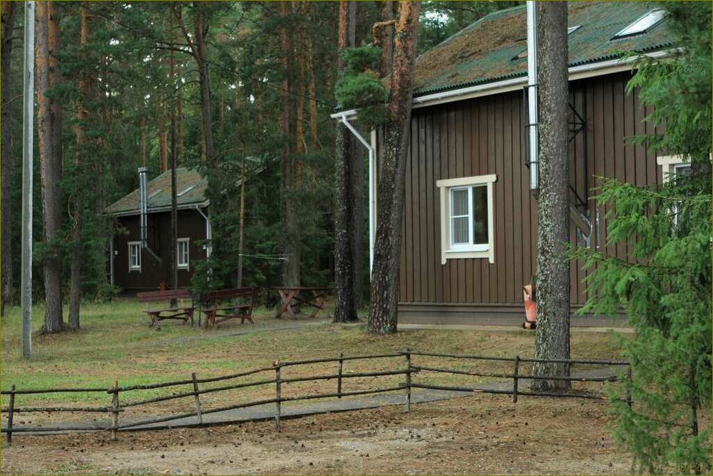 Райский уголок отдыха в Ленинградской области — Озеро Копанское — идеальное место для релакса и зарядки энергией