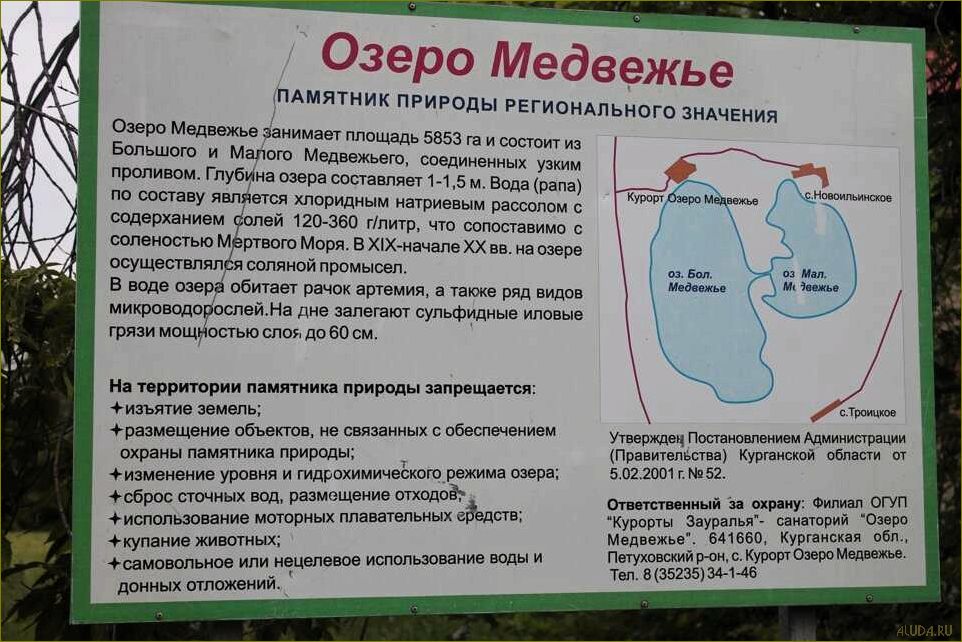 Исследуйте потрясающую природу и уникальные возможности отдыха на озере Медвежье в Курганской области