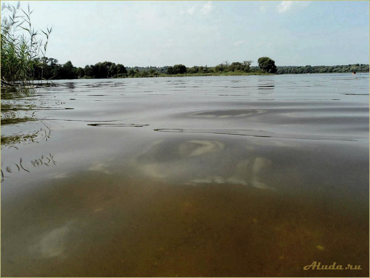 Отдых на озере Рутавечь в Смоленской области