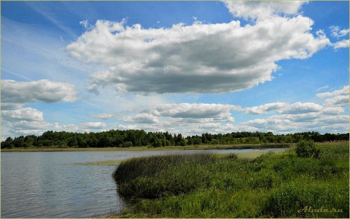 Отдых на озере Рутавечь в Смоленской области