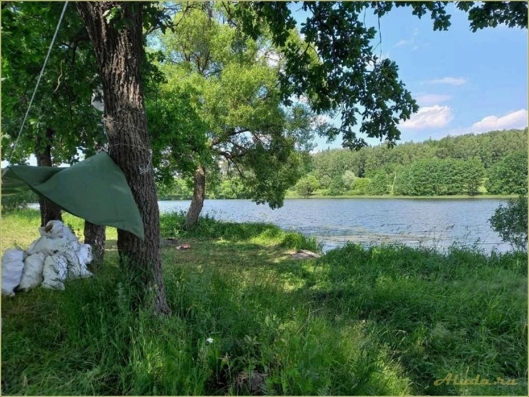 (парк, отдыха, тульской, области) Парк отдыха Тульской области