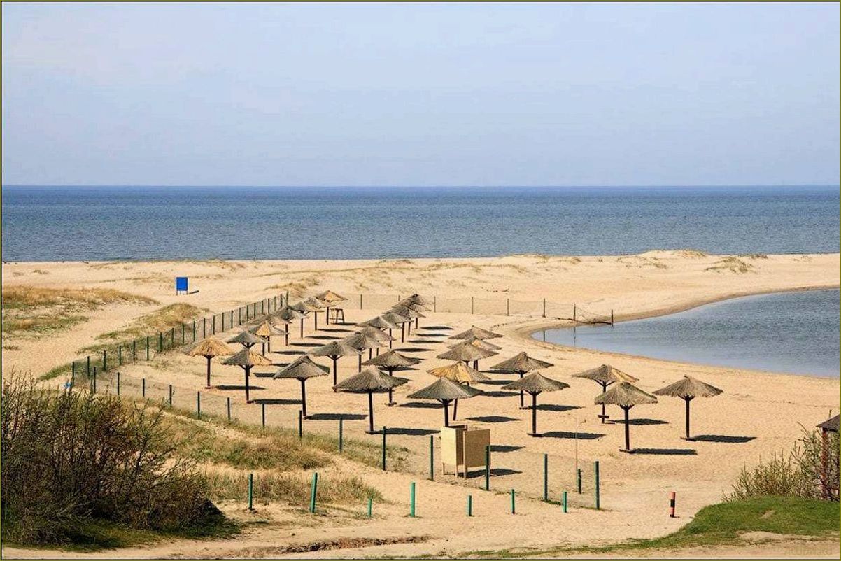 Пляж янтарный Калининградской области — идеальное место для отдыха и релаксации в окружении природных богатств
