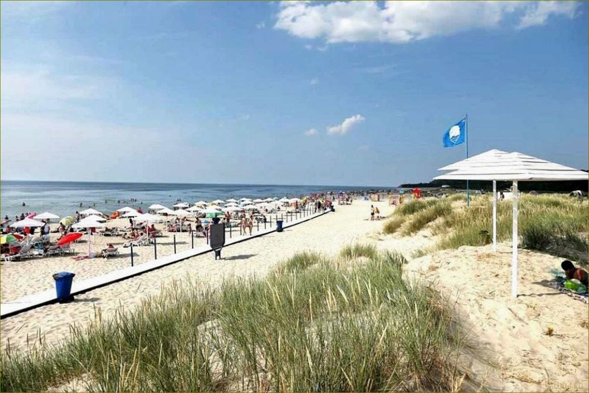 Пляж янтарный Калининградской области — идеальное место для отдыха и релаксации в окружении природных богатств