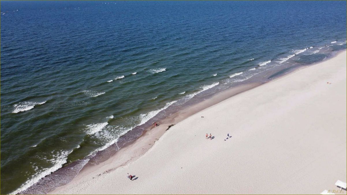 Пляж янтарный Калининградской области — идеальное место для отдыха и релаксации в окружении природных богатств