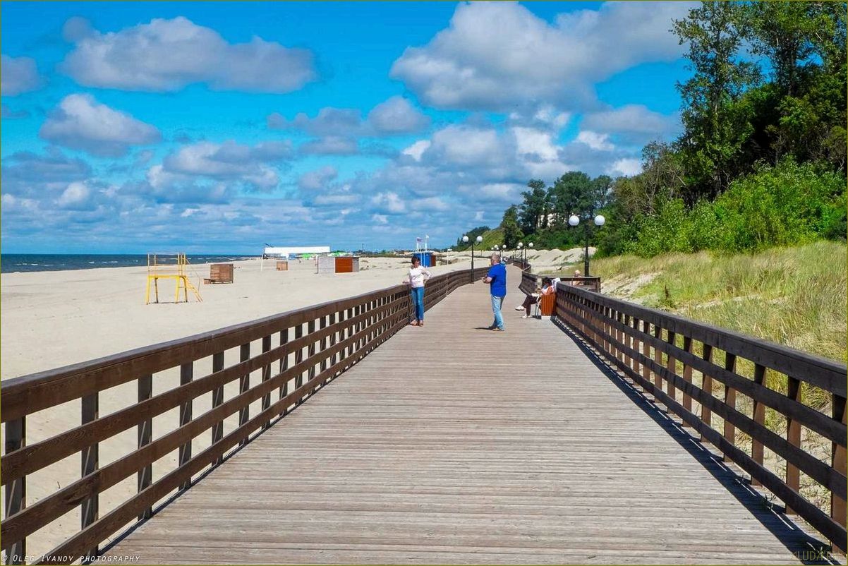 Пляж янтарный Калининградской области — идеальное место для отдыха и релаксации в окружении природных богатств