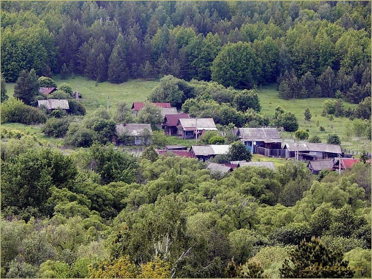 Поселки отдыха в Пензенской области — идеальные места для релаксации и наслаждения природой