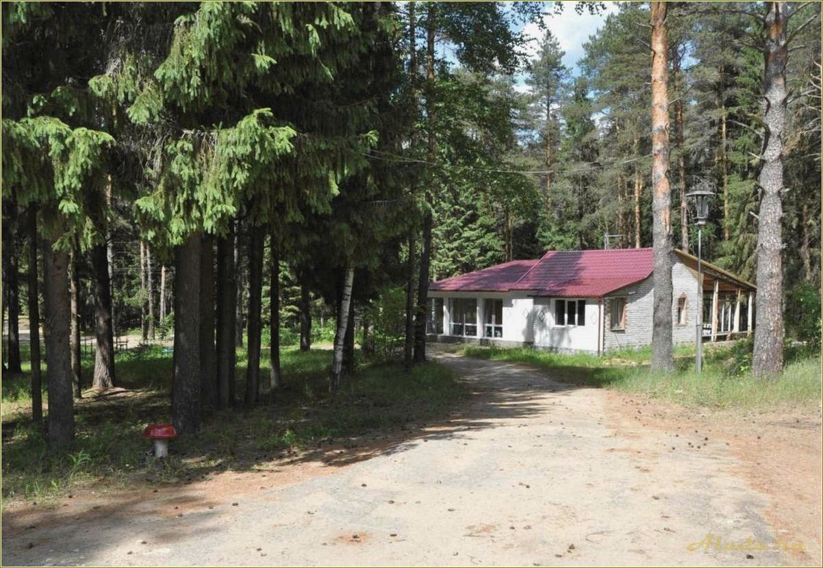 (радуга, база, отдыха, ярославская, область) Радуга база отдыха Ярославская область