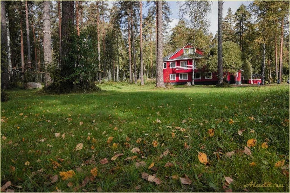 (радуга, база, отдыха, ярославская, область) Радуга база отдыха Ярославская область