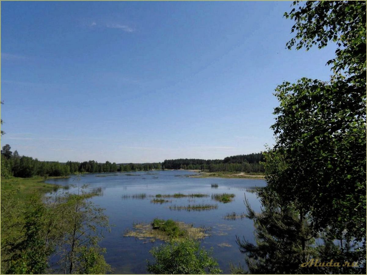 (радуга, база, отдыха, ярославская, область) Радуга база отдыха Ярославская область