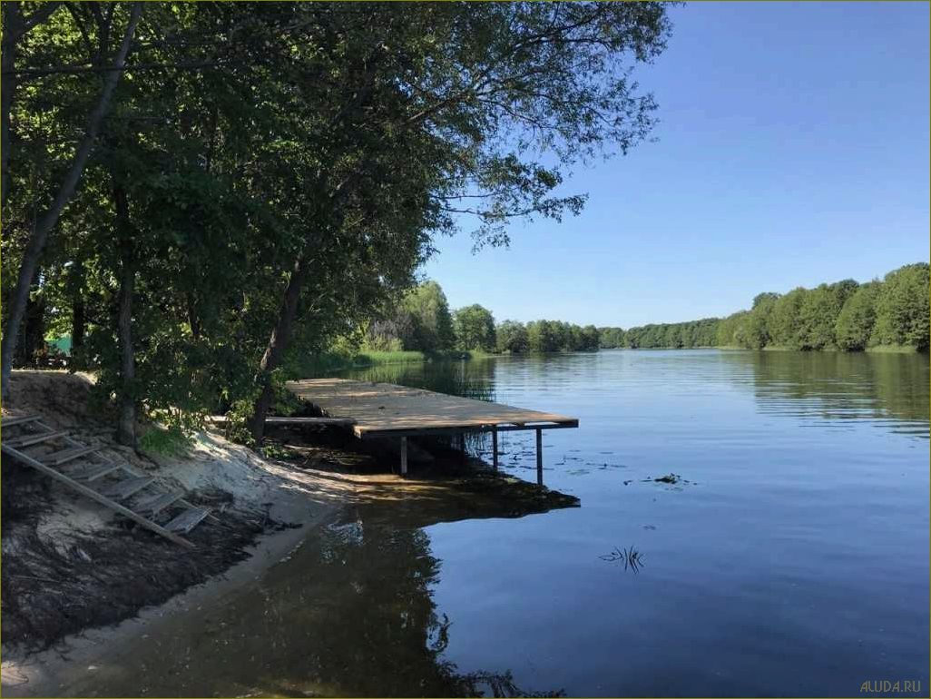 Рамонь Воронежская область — идеальное место для отдыха в окружении природы и культурных достопримечательностей