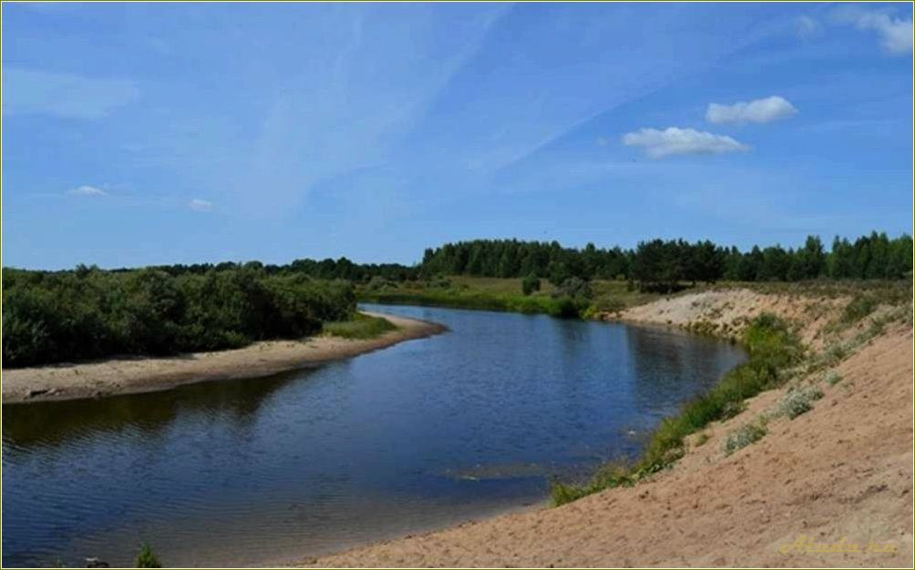 Река Медведица Тверская область отдых