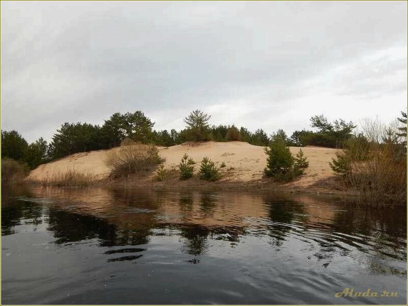 Река Медведица Тверская область отдых