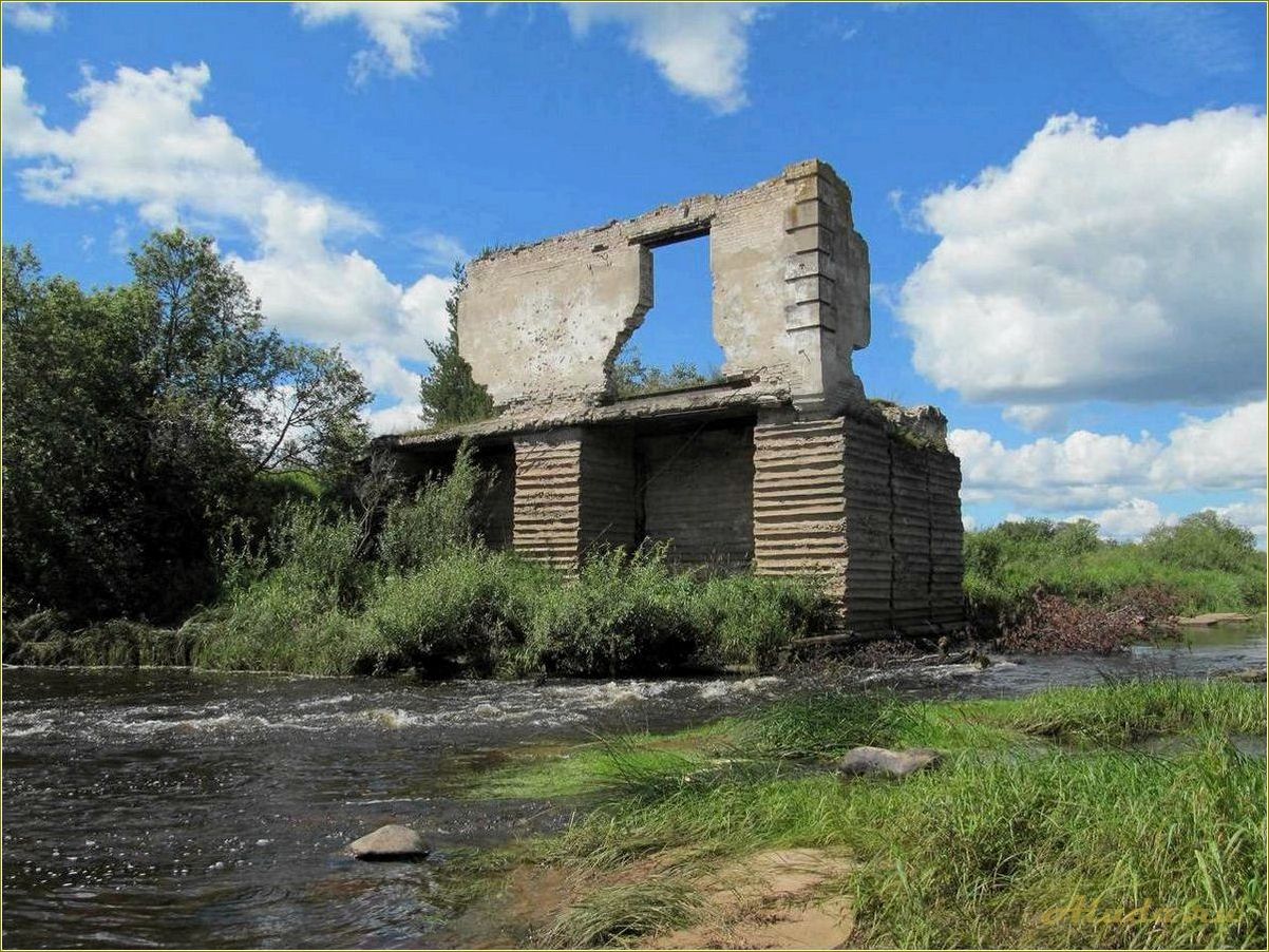 Река Медведица Тверская область отдых
