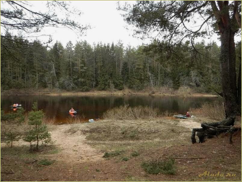 Река Медведица Тверская область отдых