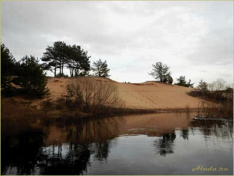 Река Медведица Тверская область отдых
