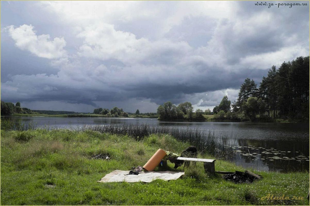 Река Медведица Тверская область отдых