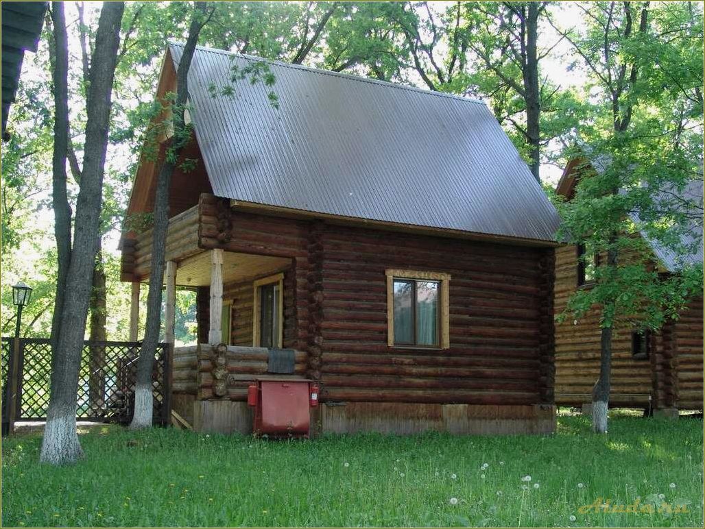 Россия самарская область волжский район база отдыха пчельник