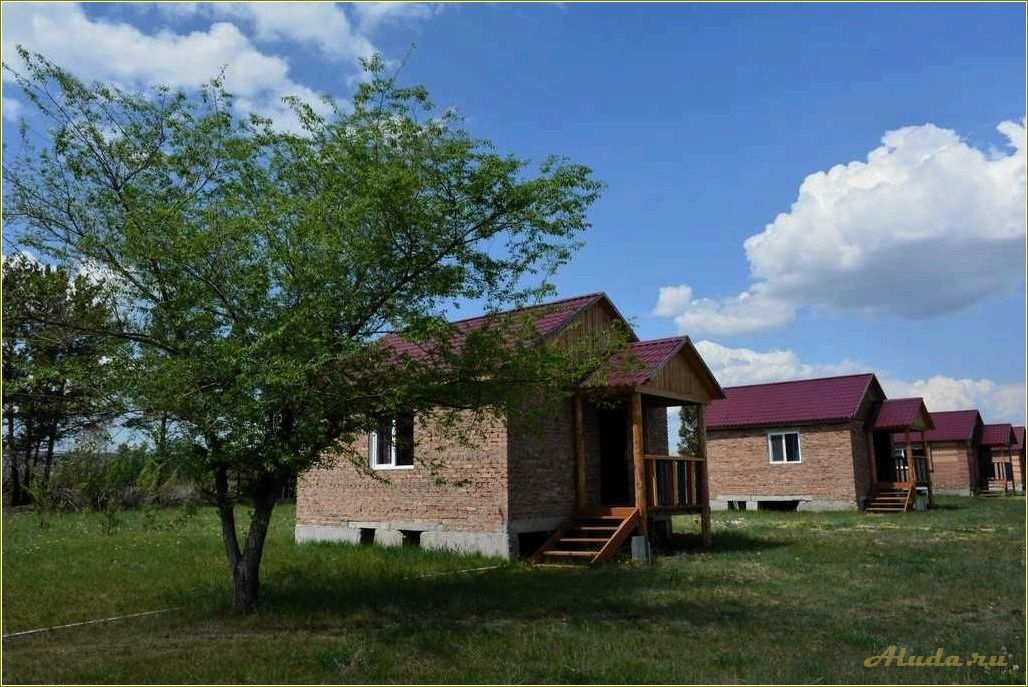 Россия самарская область волжский район база отдыха пчельник