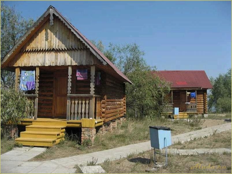 Россия самарская область волжский район база отдыха пчельник