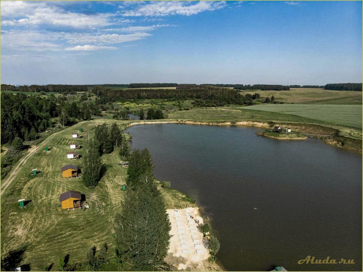 (сабурово, идеальное, место, отдыха, рязанской) Сабурово — идеальное место для отдыха в Рязанской области