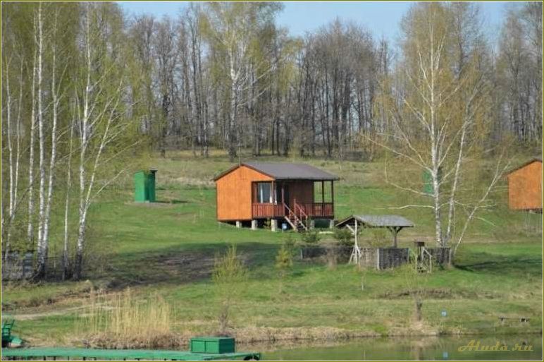 (сабурово, идеальное, место, отдыха, рязанской) Сабурово — идеальное место для отдыха в Рязанской области