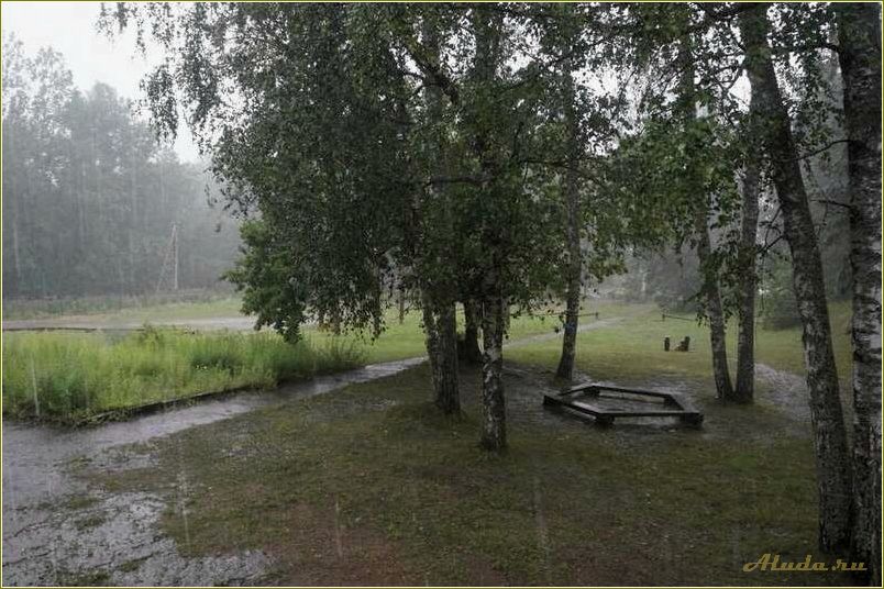 (база, отдыха, бакланово, официальный, сайт) База отдыха