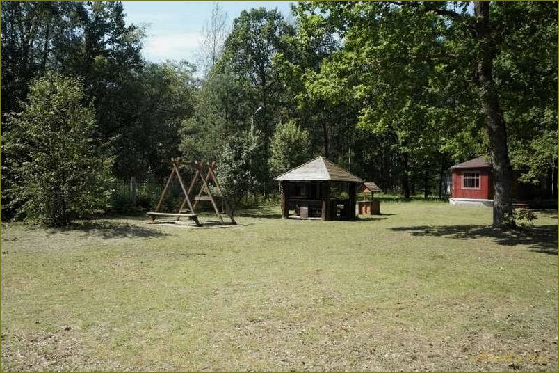 (база, отдыха, бакланово, официальный, сайт) База отдыха