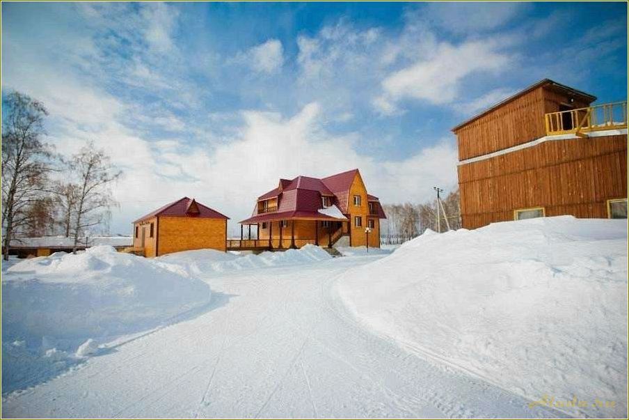 (база, отдыха, сосновка, тюменской, области) База отдыха