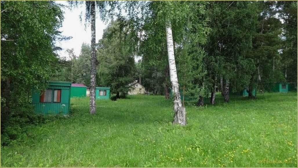 (базы, отдыха, томской, области, киреевск) Базы отдыха в Томской области: Киреевск