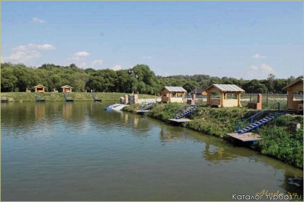 (тульская, область, лучшие, базы, отдыха) Тульская область: лучшие базы отдыха у воды
