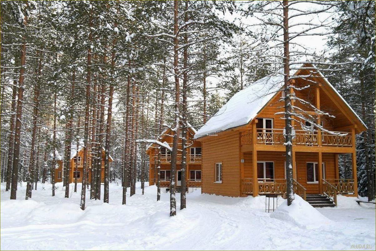 Лучшая турбаза для отдыха в зеленой природе Ленинградской области — уникальные возможности для активного и спокойного отдыха 