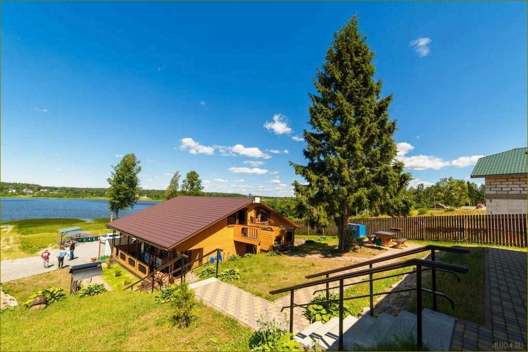 Лучшая турбаза для отдыха в зеленой природе Ленинградской области — уникальные возможности для активного и спокойного отдыха 