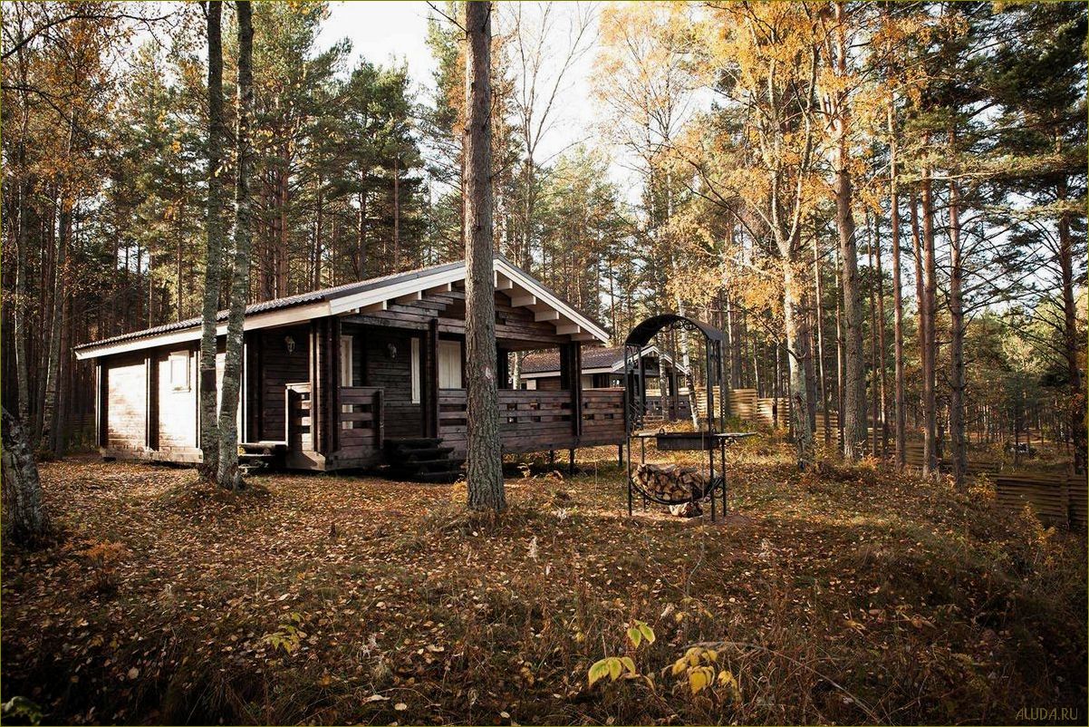 Лучшая турбаза для отдыха в зеленой природе Ленинградской области — уникальные возможности для активного и спокойного отдыха 