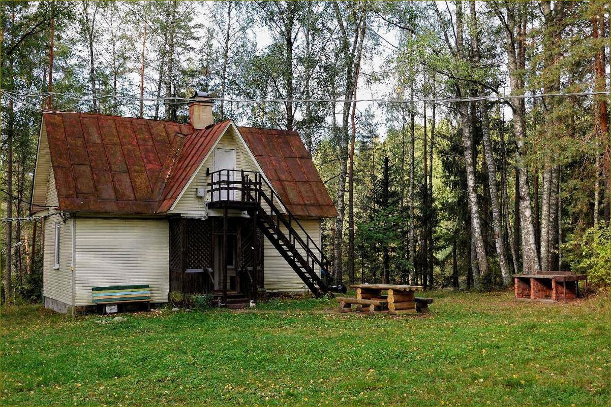 Лучшая турбаза для отдыха в зеленой природе Ленинградской области — уникальные возможности для активного и спокойного отдыха 