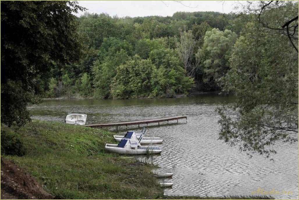 Ульяновская область база отдыха дубки