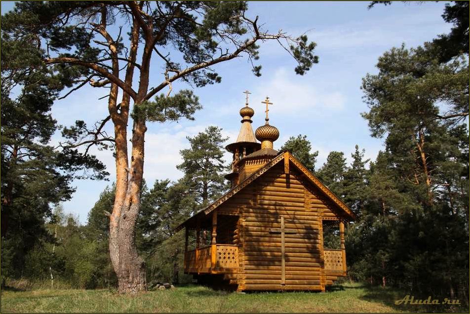 Хмелево — уникальная база отдыха в Новгородской области, где сбываются все ваши мечты о полном релаксе и комфорте