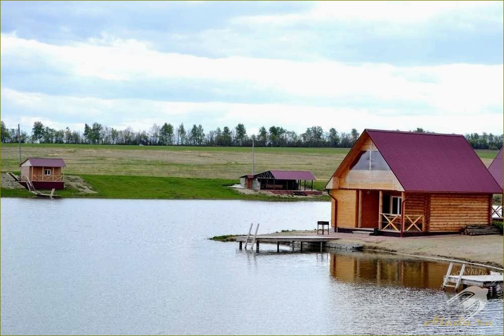 Хмелево — уникальная база отдыха в Новгородской области, где сбываются все ваши мечты о полном релаксе и комфорте