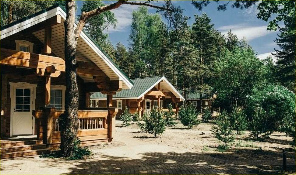 Приятный и экономичный загородный отдых в Ленинградской области — отличный выбор для бюджетного отпуска