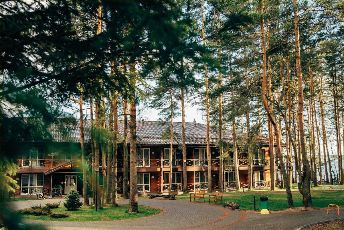 Приятный и экономичный загородный отдых в Ленинградской области — отличный выбор для бюджетного отпуска