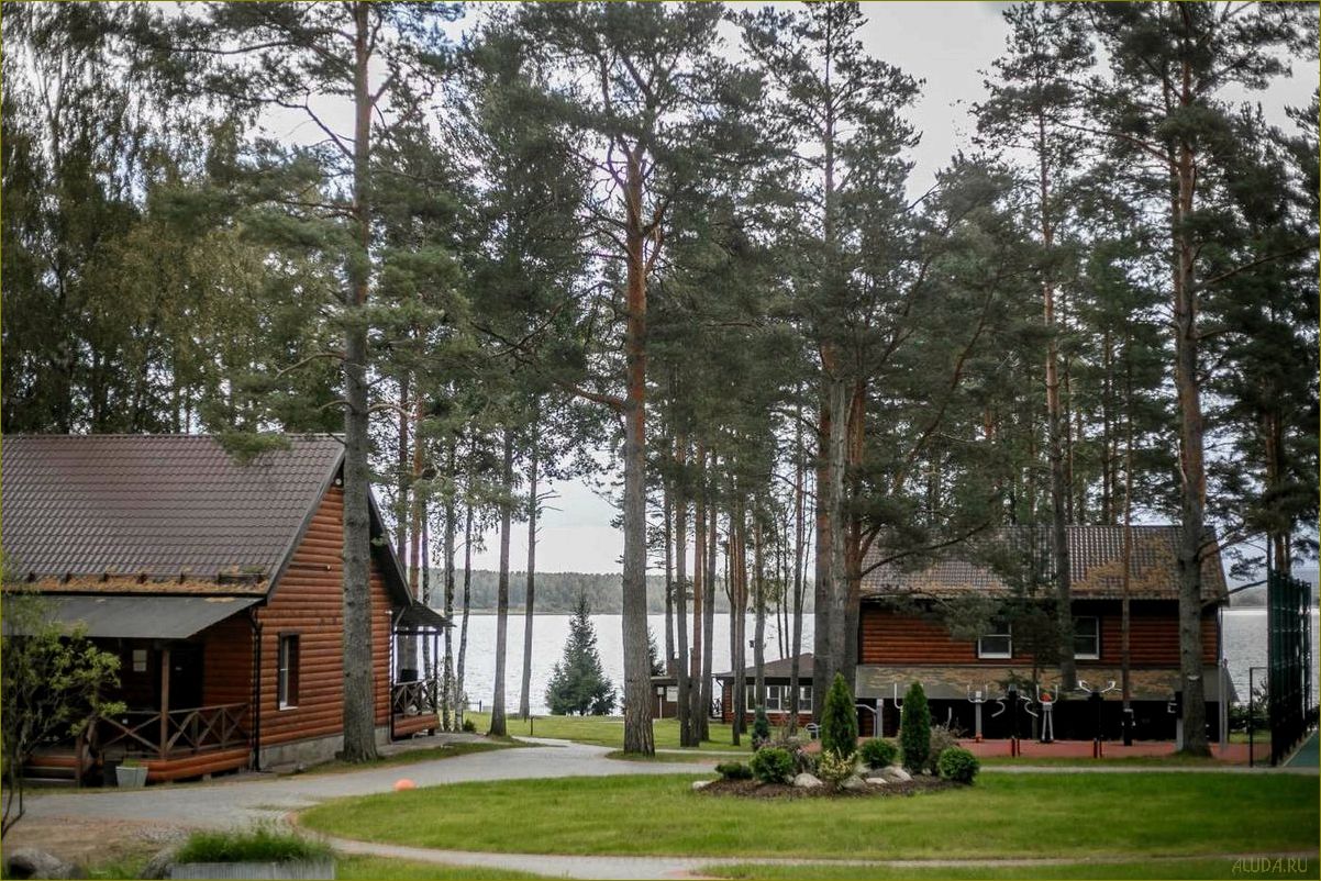 Приятный и экономичный загородный отдых в Ленинградской области — отличный выбор для бюджетного отпуска