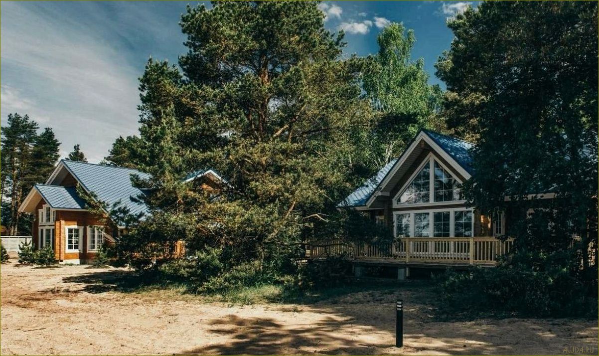 Приятный и экономичный загородный отдых в Ленинградской области — отличный выбор для бюджетного отпуска