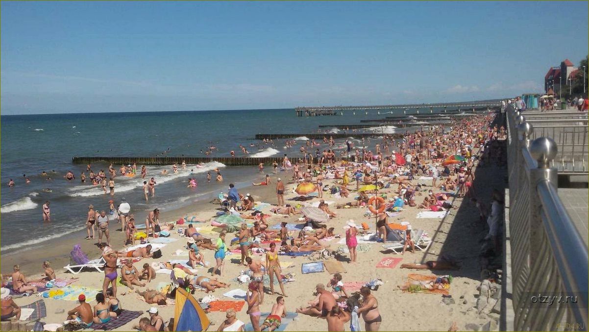 Зеленоградск Калининградской области — идеальное место для отдыха в августе с песчаными пляжами 