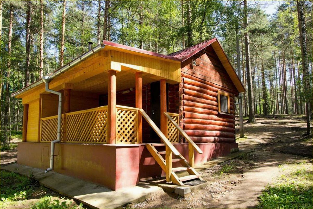 Журавушка база отдыха в Ленинградской области — идеальное место для отдыха и развлечений