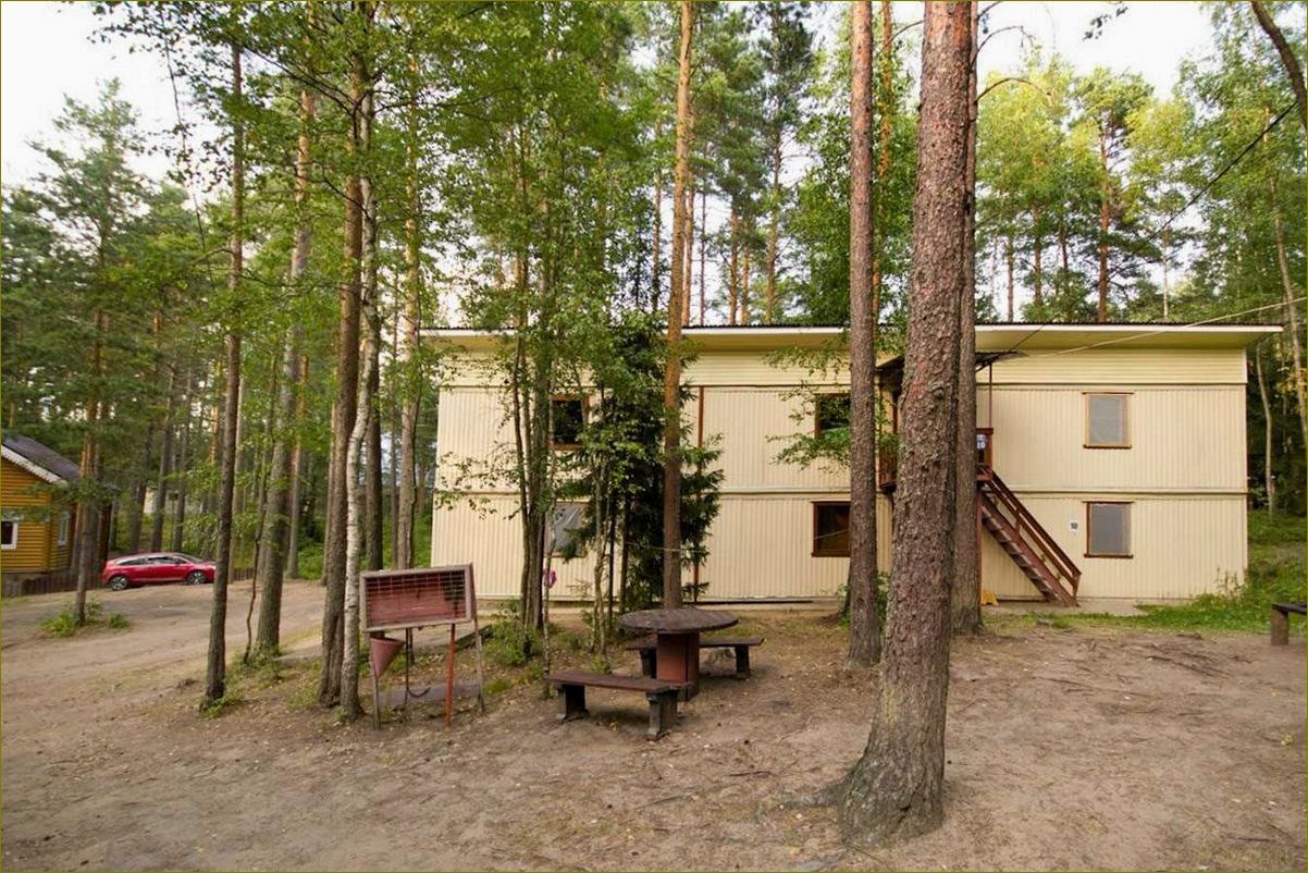 Журавушка база отдыха в Ленинградской области — идеальное место для отдыха и развлечений