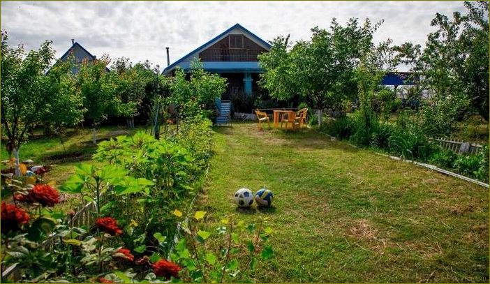 (база, отдыха, фишка, володарском, районе) База отдыха