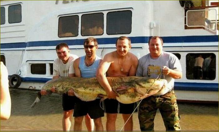 База отдыха 