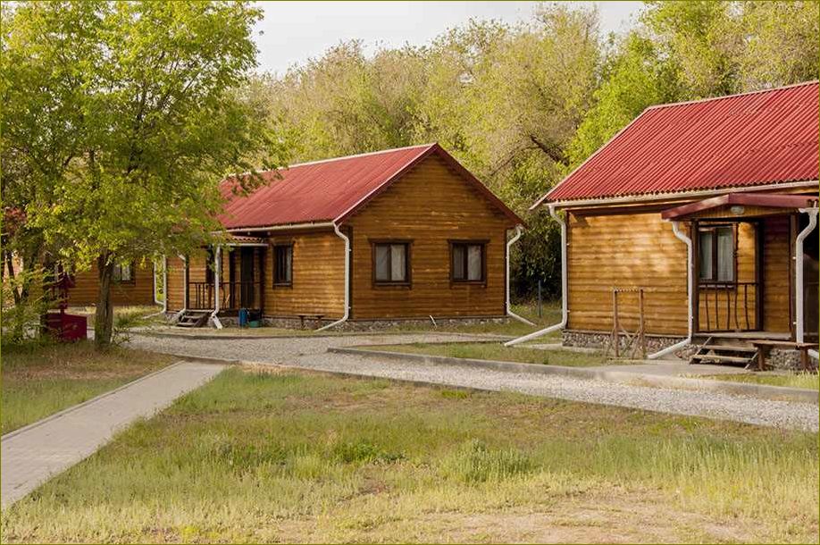 (уникальная, база, отдыха, берегу, волги) Уникальная база отдыха на берегу Волги в Волгоградской области — идеальное место для релаксации и развлечений