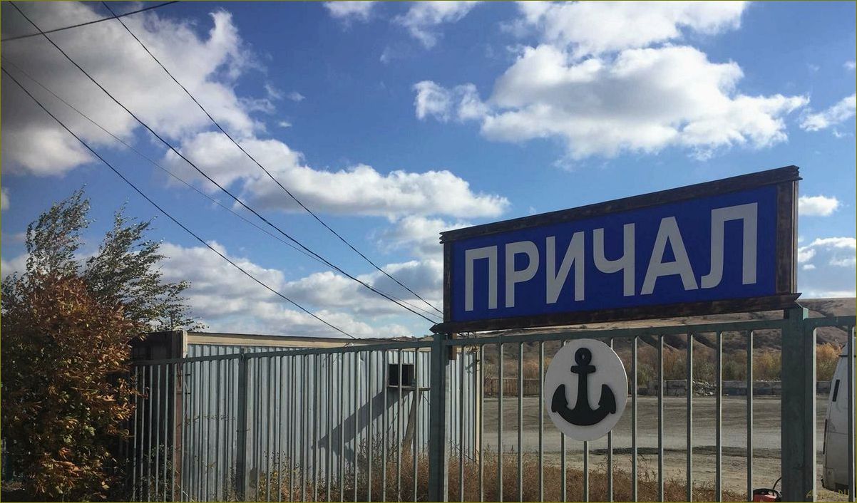 (уникальная, база, отдыха, берегу, волги) Уникальная база отдыха на берегу Волги в Волгоградской области — идеальное место для релаксации и развлечений